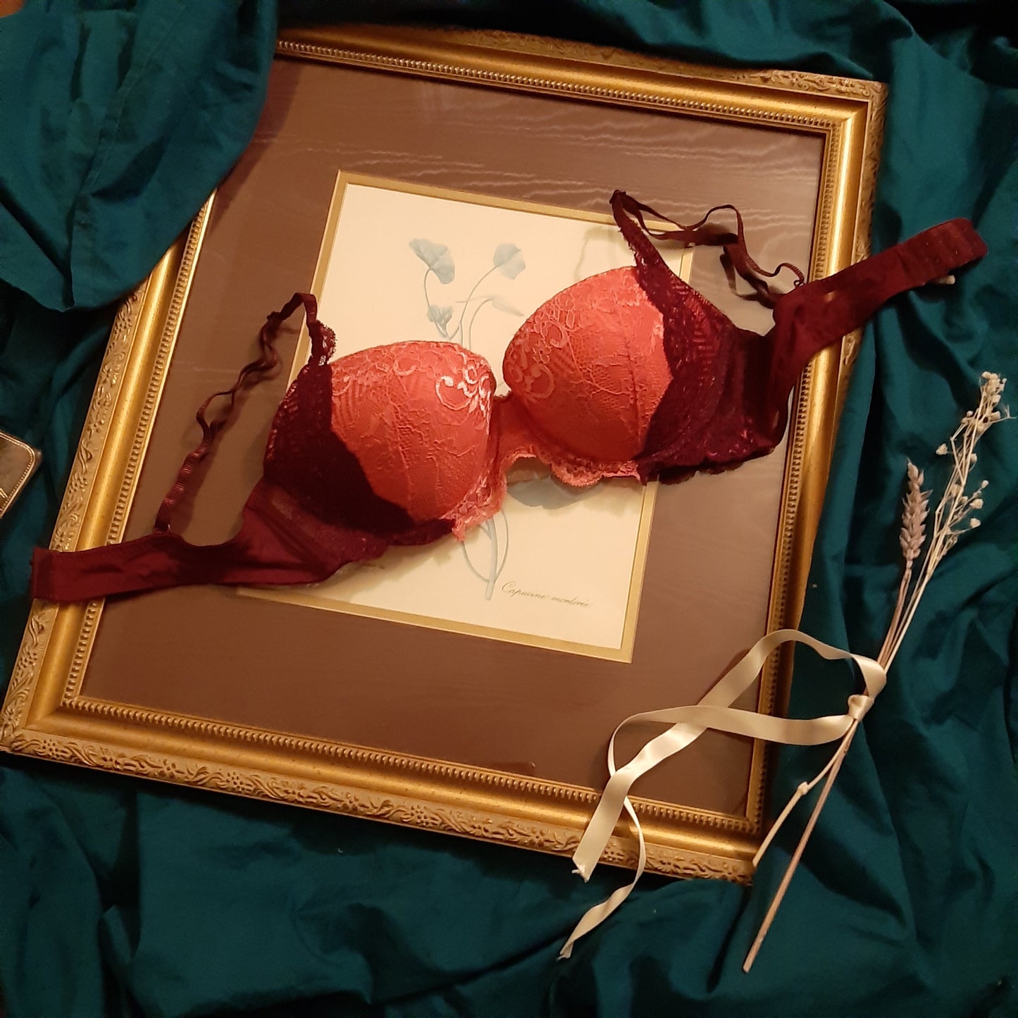 Peach and violet lacey bra