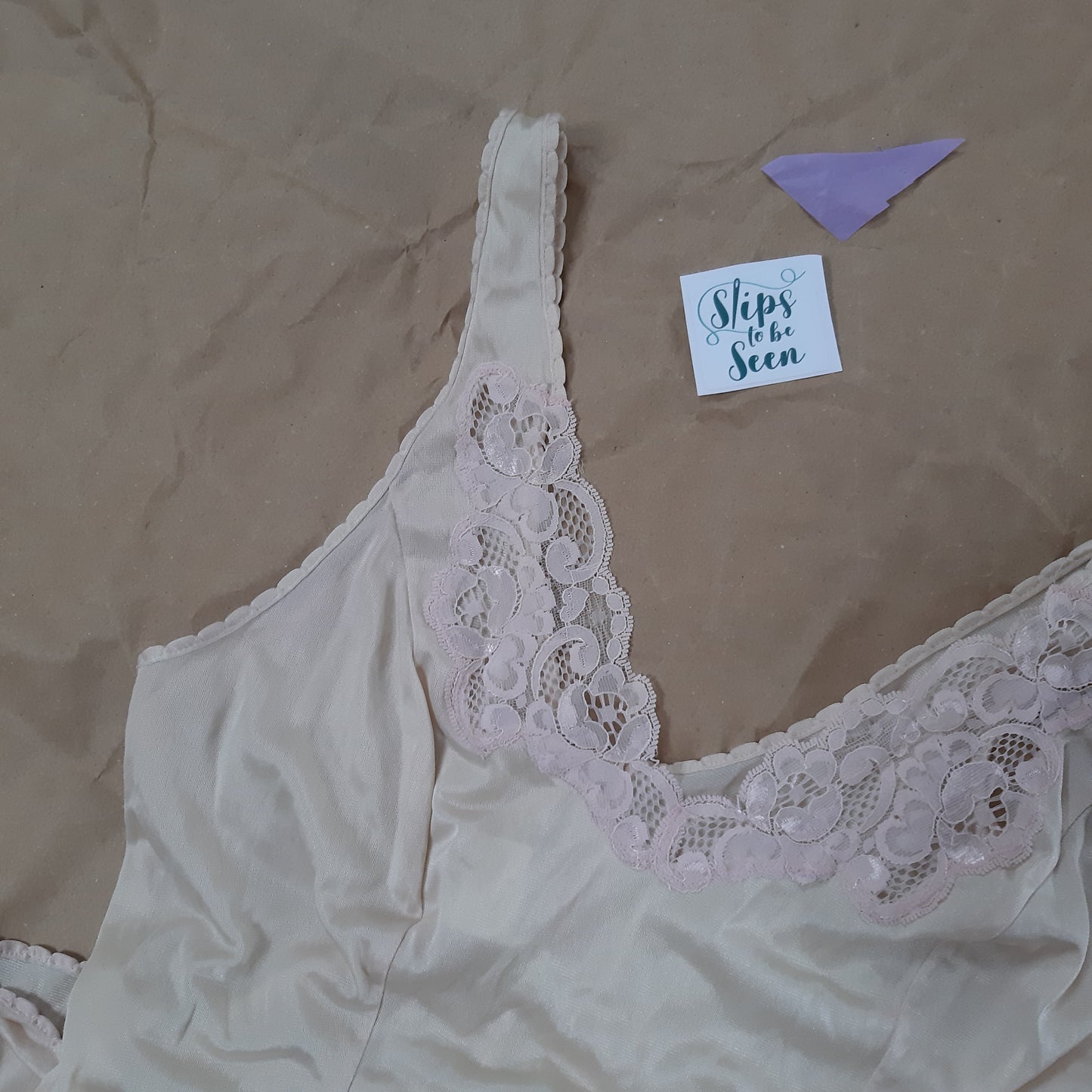 Champagne slip with pink lace detail and loop shape trim