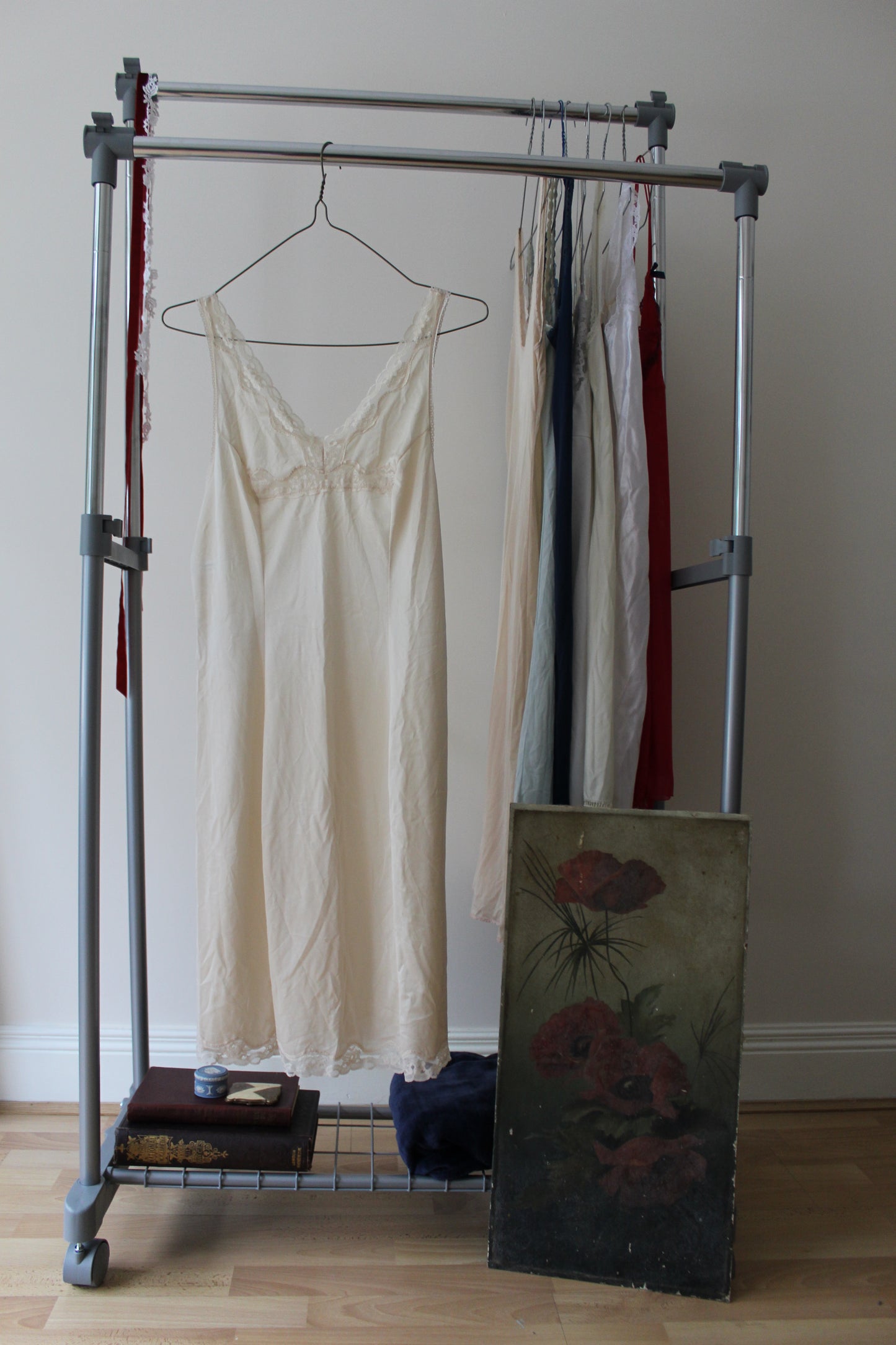 Champagne slip with lace panelling and loop trim