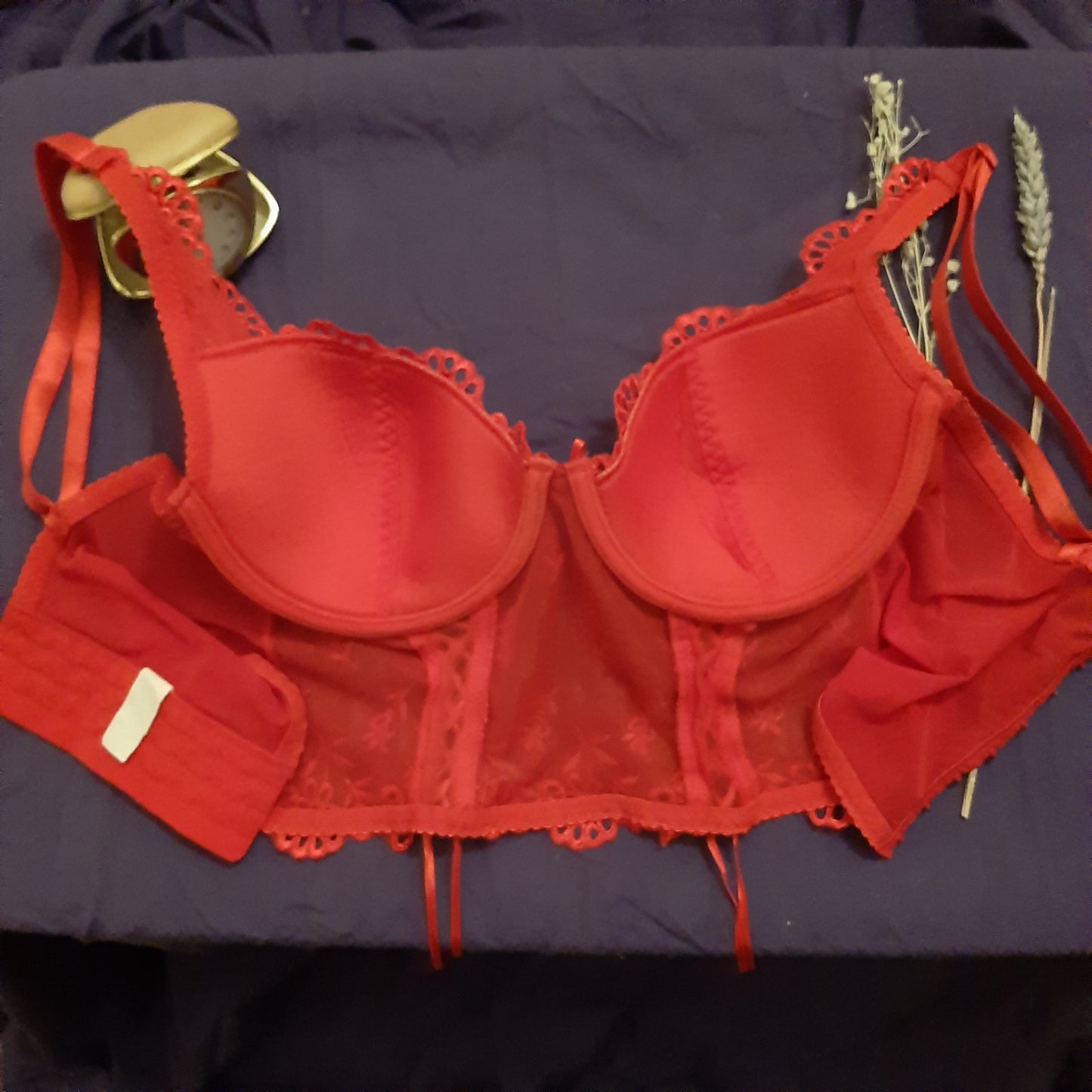 Red Corset Bra