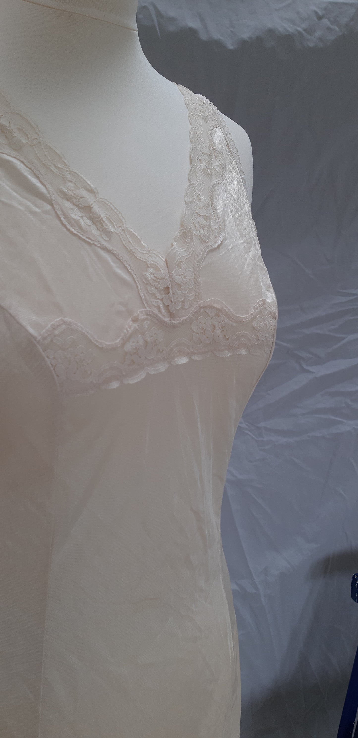 Champagne slip with lace panelling and loop trim